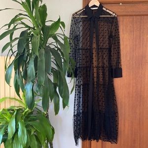Sheer Zara dress